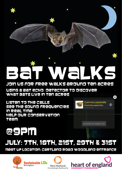 Bat Walk: 18th July 2022